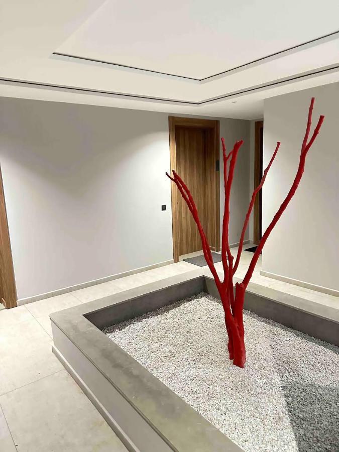 Cosy Appartement Au Centre De カサブランカ エクステリア 写真